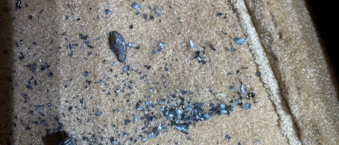 What is this stuff?